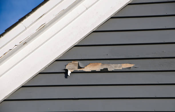 Best Insulated Siding Installation  in Brackettville, TX