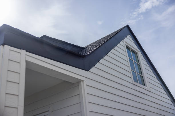 Best Aluminum Siding Installation  in Brackettville, TX